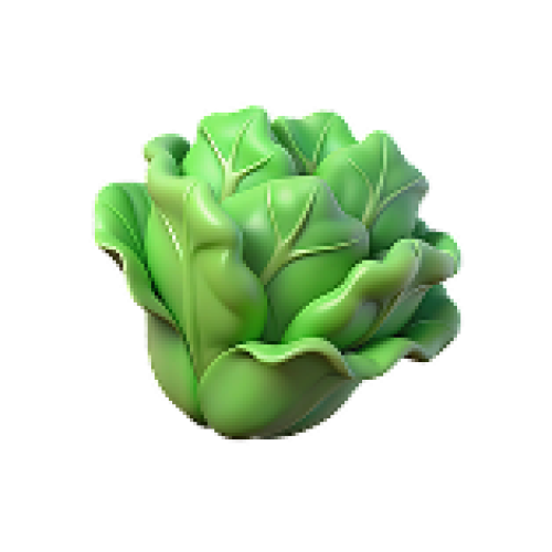 3d-lettuce